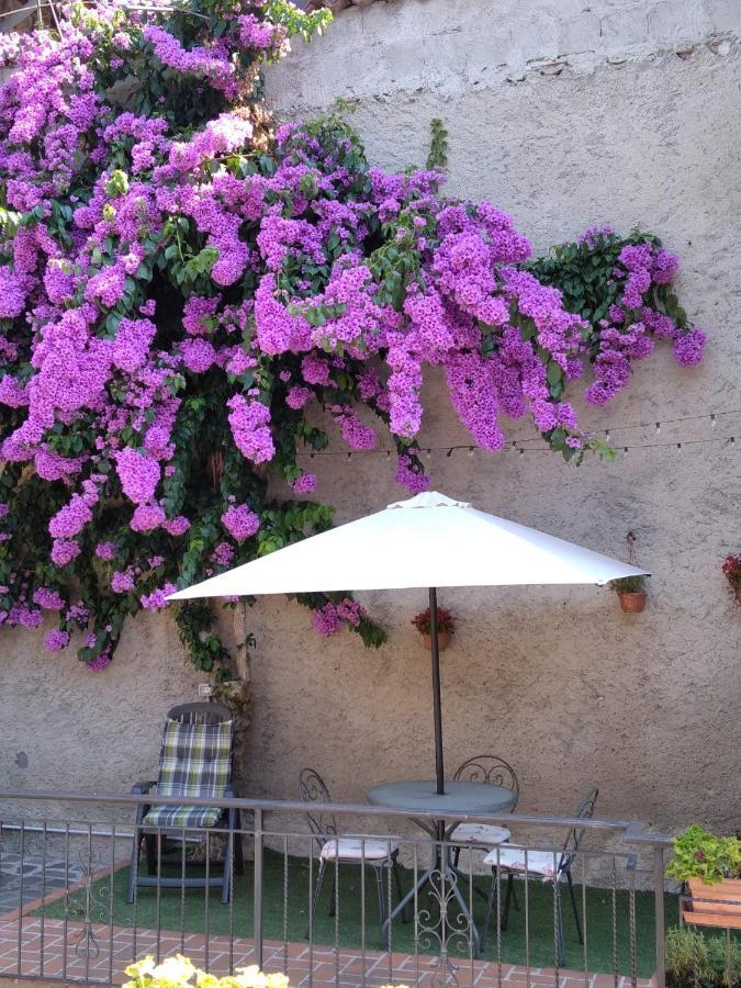 Il Giardino Di Laura Daire Toscolano Maderno Dış mekan fotoğraf